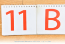 11b