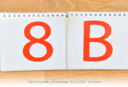 8b