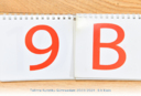 9b